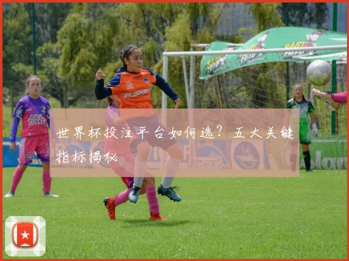 世界杯投注平台如何选？五大关键指标揭秘