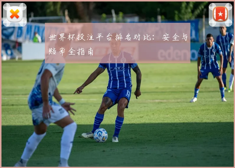 世界杯投注平台排名对比：安全与赔率全指南