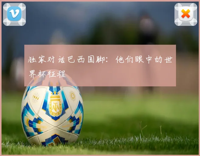 独家对话巴西国脚：他们眼中的世界杯征程